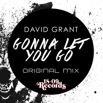 David Grant - Gonna Let You Go