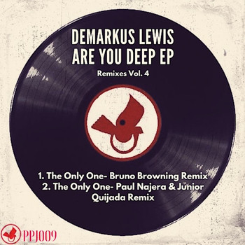 Demarkus Lewis - Are You Deep EP Remixes, Vol. 4