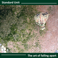 Standard Unit - The Art of Falling Apart
