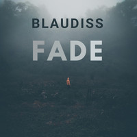 BlauDisS - fade