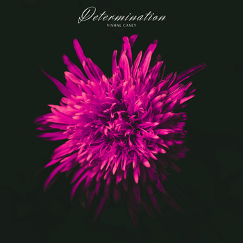 Vishal Casey - Determination