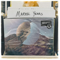 Marvel Years - Hidden Groove, Vol. II