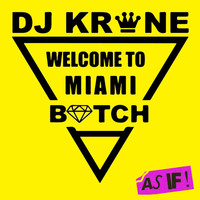 DJ Krone - Welcome To Miami