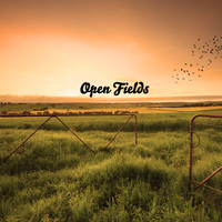 Timothy Byrne - Open Fields