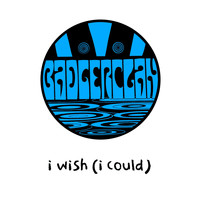 Badgerclan - i wish (i could) (Radio Edit)