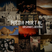 Organoclorados - Poesia Mortal (Explicit)