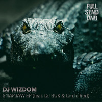 Dj Wizdom - Snapjaw (Explicit)