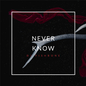 DJ Fishbone - Never Know