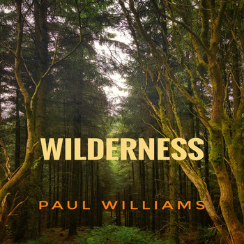 Paul Williams - Wilderness 