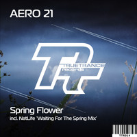 Aero 21 - Spring Flower