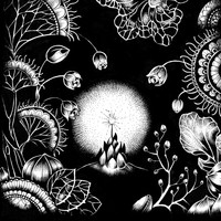 Thomas Barrandon - Miracle