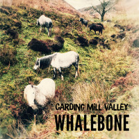 Whalebone - Carding Mill Valley