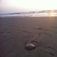 Nightfall - Along the Shore