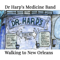 Dr Harp's Medicine Band - Walking to New Orleans