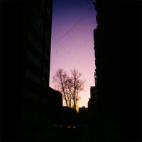 Moon Rabbit - Pink Wind Sunset