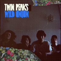 Twin Peaks - Wild Onion (Explicit)
