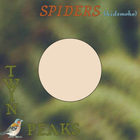 Twin Peaks - Spiders (Kidsmoke)