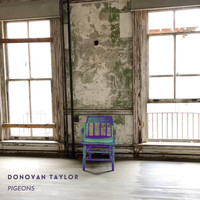 Donovan Taylor - Pigeons