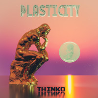 Plasticity - Thinko