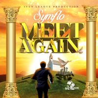 Symflo - Meet Again