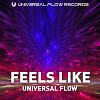 Universal Flow - Feels Like