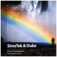 SimzTek, Dubz - From The Bottom