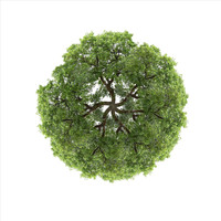 Five Green Circle - Multiweald
