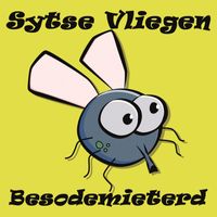 Sytse Vliegen - Besodemieterd