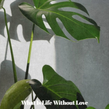 Various Artist - What Is Life Without Love