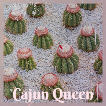 Various Artist - Cajun Queen