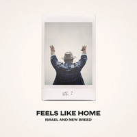 ISRAEL & NEW BREED - Feels Like Home, Vol. 2