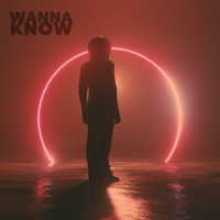 Project 46 - Wanna Know