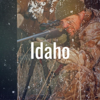 Various Artist - Idaho