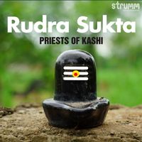Ved Vrind - Rudra Sukta