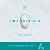 J. Agustín Acosta - Spheres Project: Transition