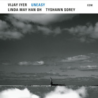 Vijay Iyer - Entrustment