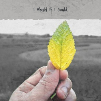 Various Artists - I Would If I Could