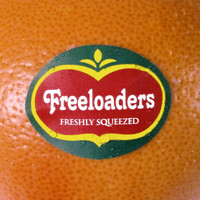 Freeloaders - Freshly Squeezed