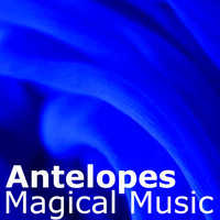 Magical Music - Antelopes