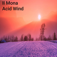 Il Mona - Acid