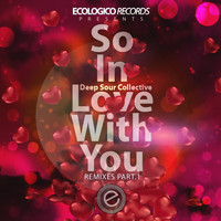 Deep Sour Collective - So In Love With You Remixes, Vol. 1