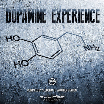Various Artists - Dopamine Experience (Compiled by Slobodan & Another Station)