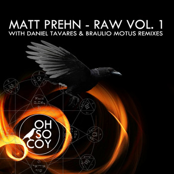 Matt Prehn - Raw, Vol. 1
