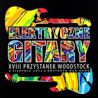 Elektryczne Gitary - Elektryczne Gitary Live Przystanek Woodstock 2012