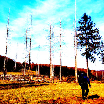 Various Artists - Biohacking Electronic Music