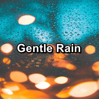 Baby Rain - Gentle Rain