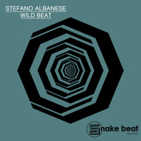 Stefano Albanese - Wild Beat