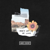 James Cherry - Don't Let Go of Love
