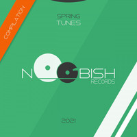 Noobish Records - Spring 2021 Compilation