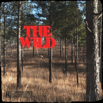 Dream - The Wild (Explicit)